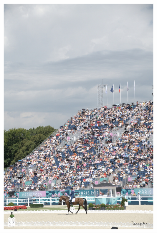 Main image [Picture]: JO Paris 2024 - Dressage in Versailles