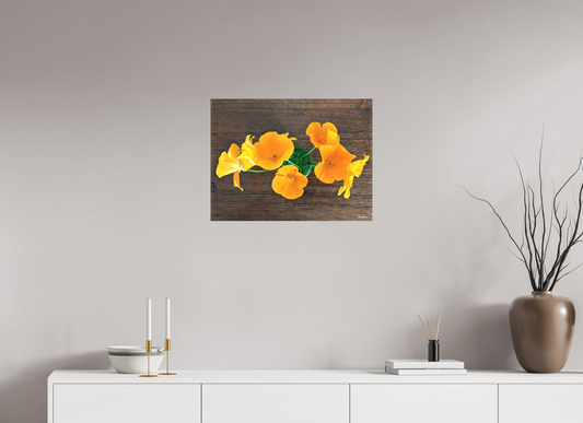 60 x 45 cm, Toile mate sur châssis sans cadre [Collection sur toile]: Pavot