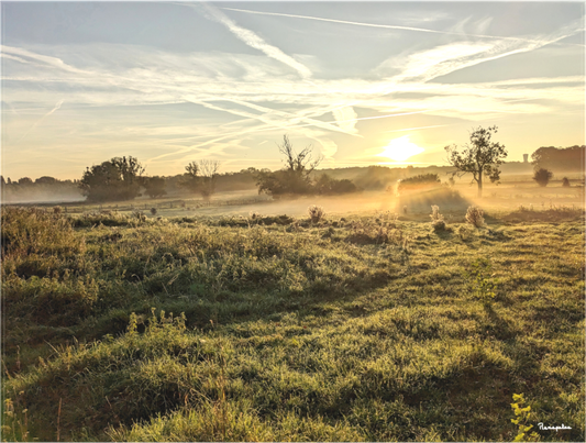 Main image [Picture on canvas] : countryside landscape