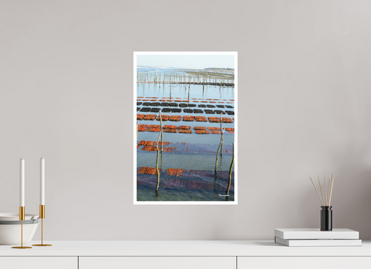 30 x 45 cm, Impression Fine Art Pearl 285 g [Picture]: Cap Ferret