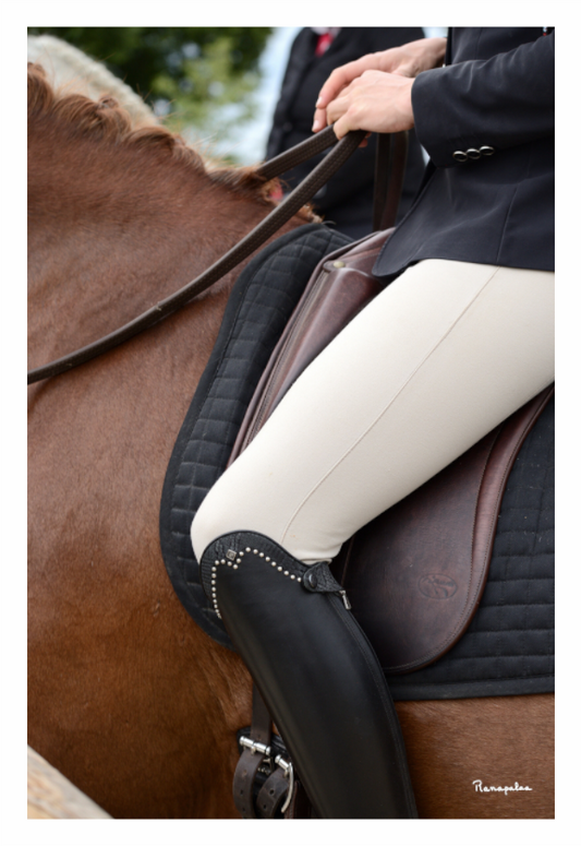 Main image [Picture]: Equitation Cluny