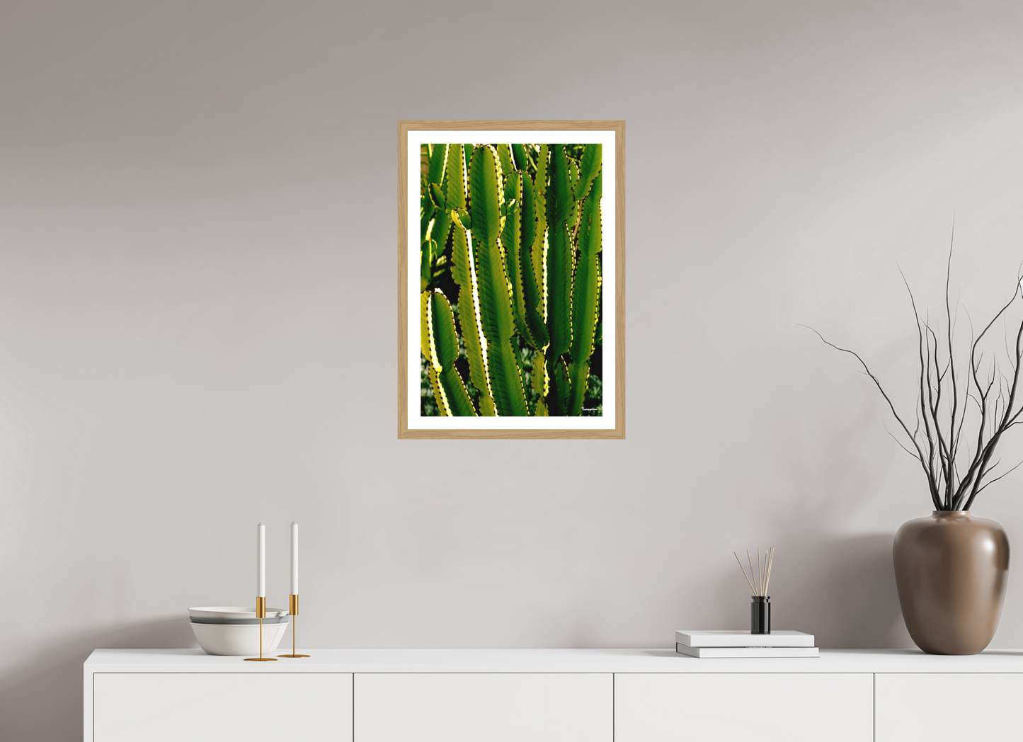 40 x 59,5 cm, Tirage argentique brillant, cadre chêne, verre anti-reflet et anti-UV [Picture]: Cactus